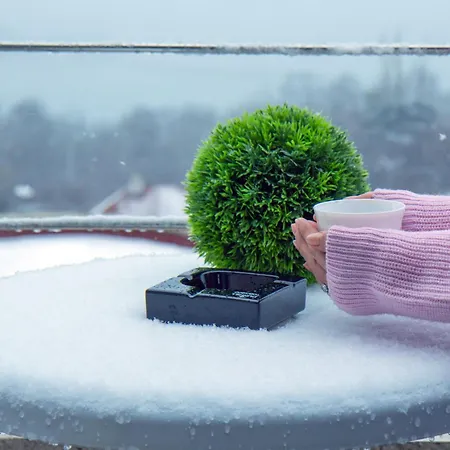 Black Sea Narcissus - Quiet With Amazing Sea View *