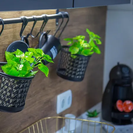 Black Sea Narcissus - Quiet With Amazing Sea View Apartment