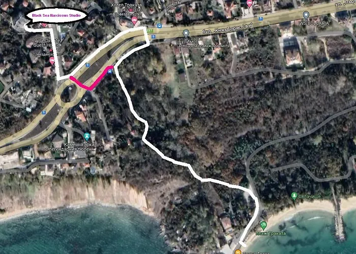 Black Sea Narcissus - Quiet With Amazing Sea View Warna